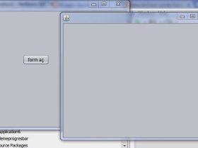 java form içinde form açma